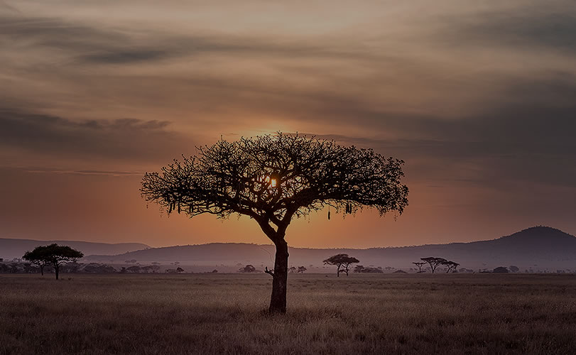 Namibian Lion Trust